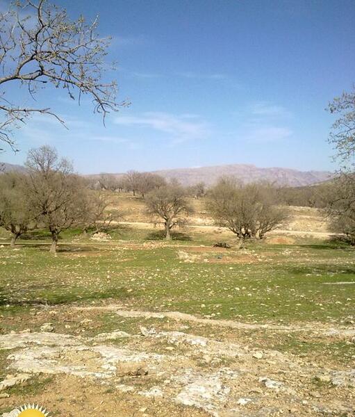 عکس هایی از طبیعت ساده