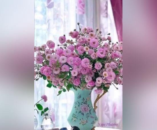 عکس گل و گلدان برای پروفایل