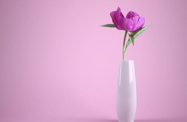 عکس گل و گلدان برای پروفایل