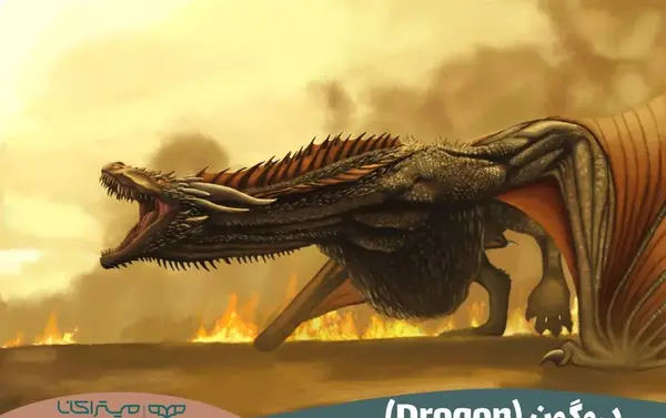 عکس اژدهای آتش