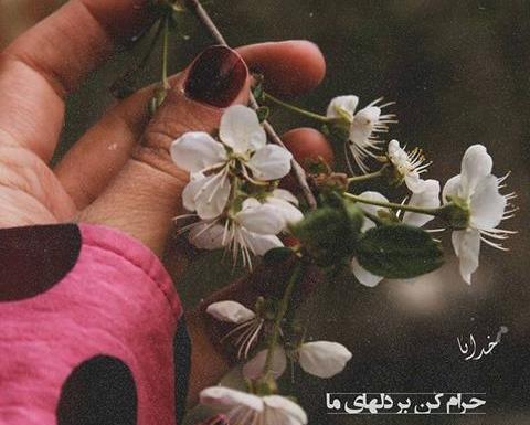 عکس طبیعت بهاری برای استوری