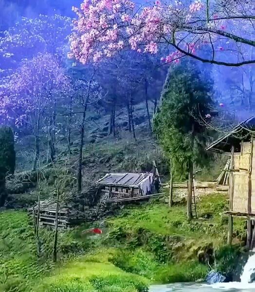 عکس طبیعت بهاری برای استوری
