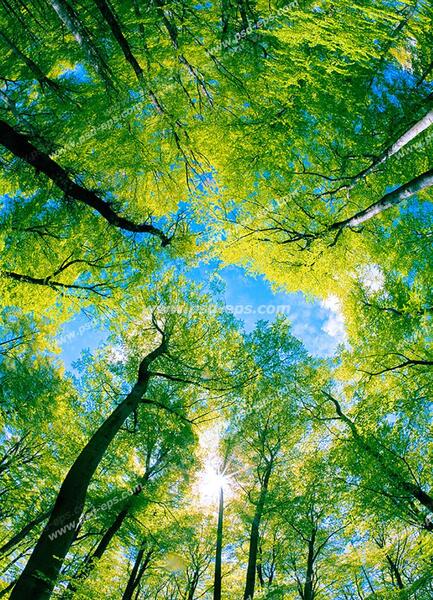 عکس آسمان مجازی برای آشپزخانه