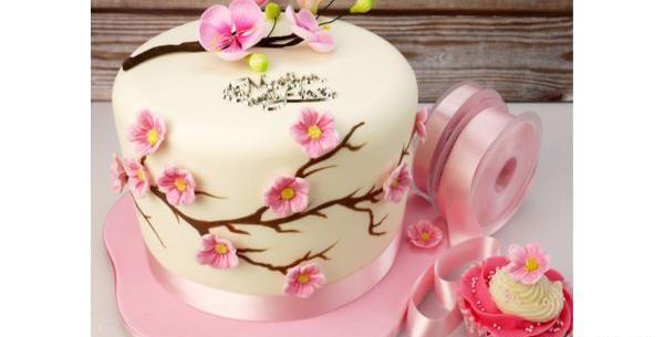 عکس کیک دخترانه بهاری