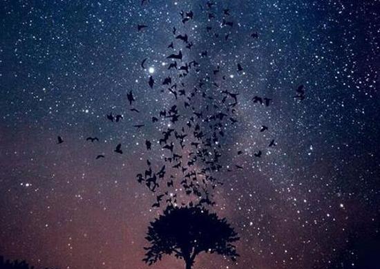 عکس زیبا از آسمان شب برای پروفایل