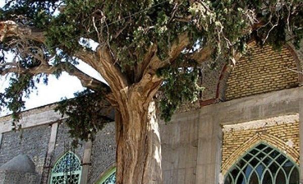عکس امامزاده علی سیرجان