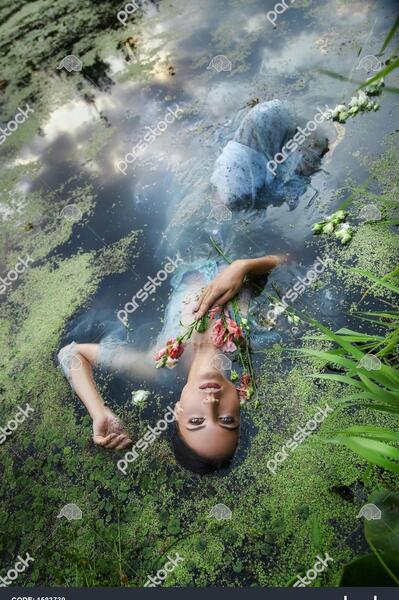 عکس گل آبی عاشقانه
