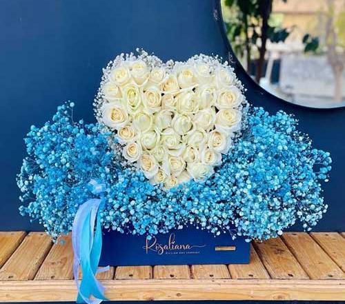 عکس گل آبی عاشقانه