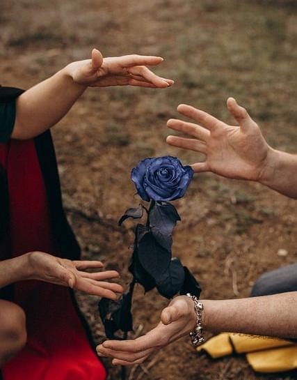 عکس گل آبی عاشقانه