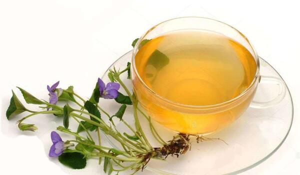 عکس گل بنفشه وحشی