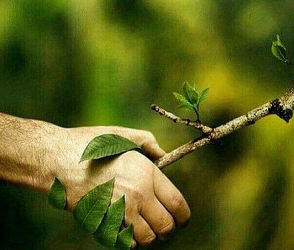 عکس طبیعت دهبکری