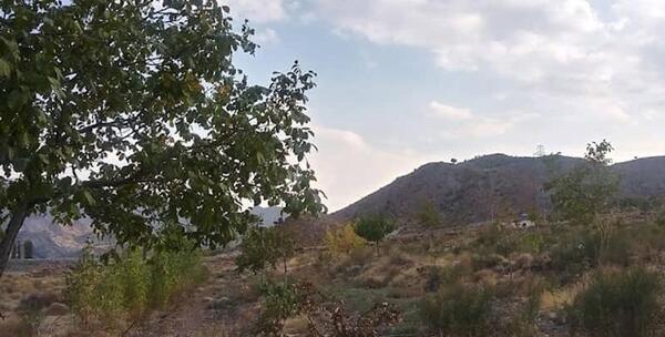 عکس طبیعت دهبکری