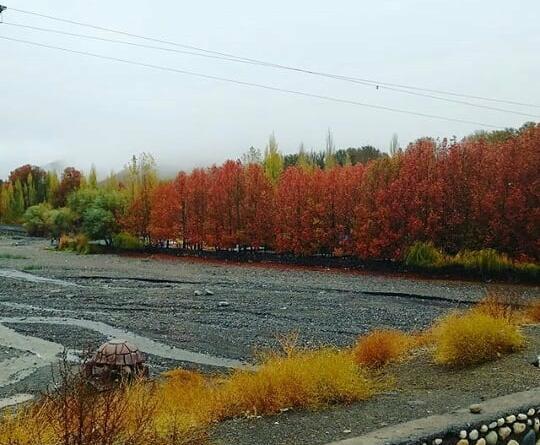 عکس طبیعت دهبکری