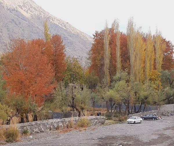 عکس طبیعت دهبکری
