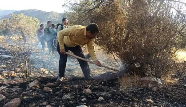 عکس طبیعت دهبکری