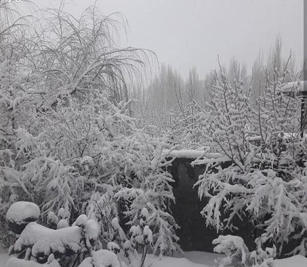 عکس طبیعت دهبکری