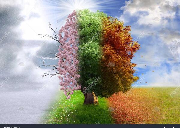 عکس طبیعت در چهار فصل