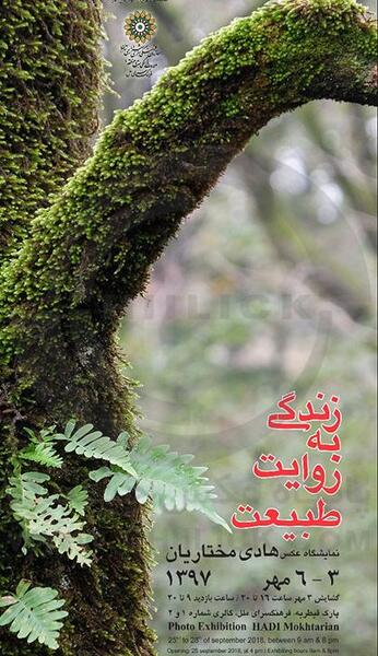 عکس طبیعت در چهار فصل