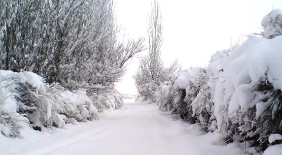 عکس طبیعت در چهار فصل