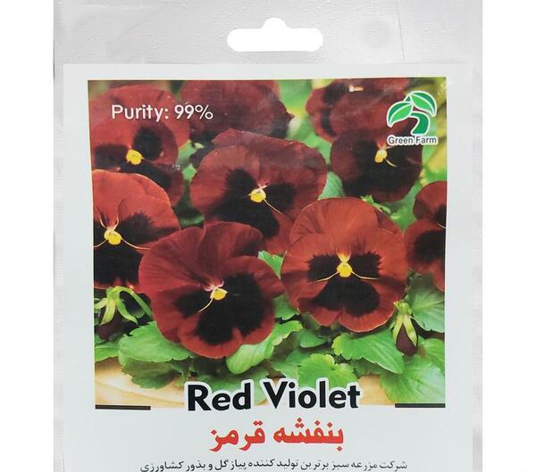عکس گل بنفشه قرمز