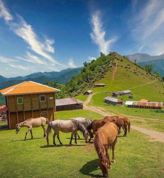 عکس طبیعت ماسال گیلان