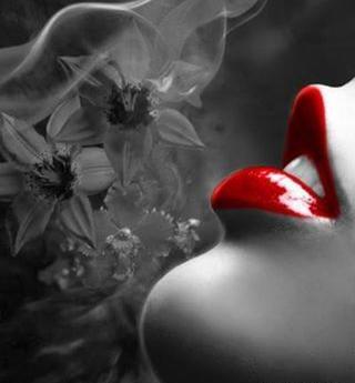 عکس های سیاه و قرمز