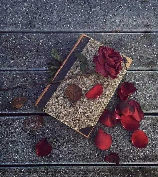 دانلود عکس های گل غمگین