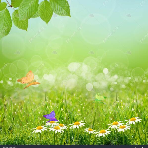 عکس پس زمینه طبیعت ایران