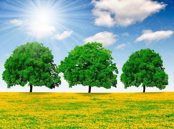 عکس پس زمینه طبیعت ایران