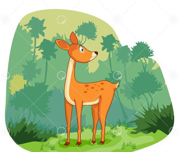 عکس زیبای آهو