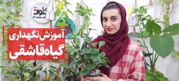 عکس گل برگ قاشقی