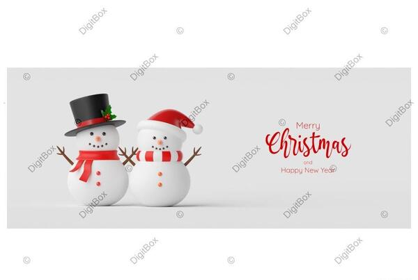 عکس آدم برفی سفید