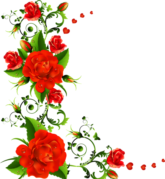 عکس حاشیه گل برای متن