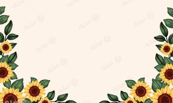 عکس حاشیه گل برای متن