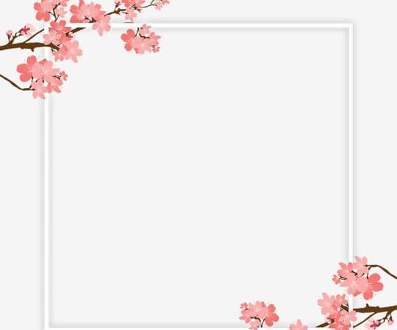 عکس حاشیه گل برای متن