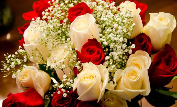 عکس گل تولد زیبا
