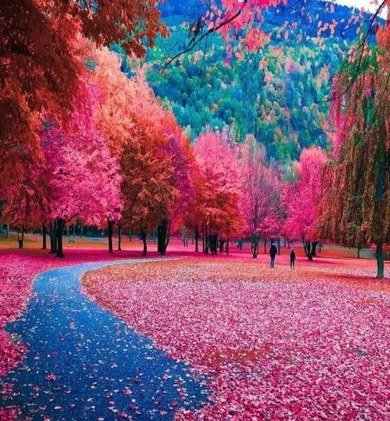 عکس طبیعت سوئیس زیبا