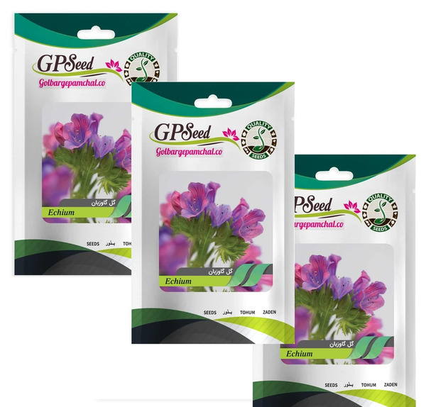 عکس بوته گل گاوزبان