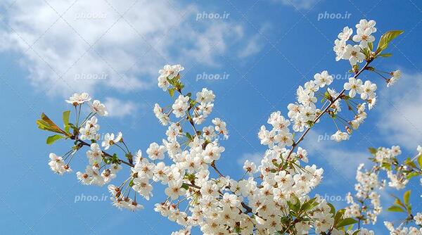 عکس اسمان ابی برای تصویر زمینه