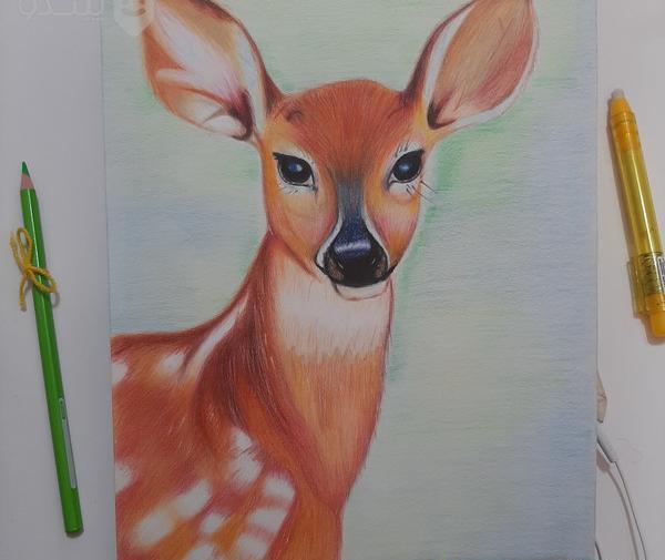 عکس آهو طراحی