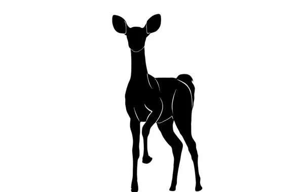 عکس آهو طراحی