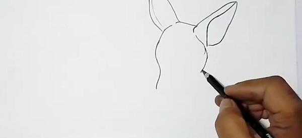 عکس آهو طراحی