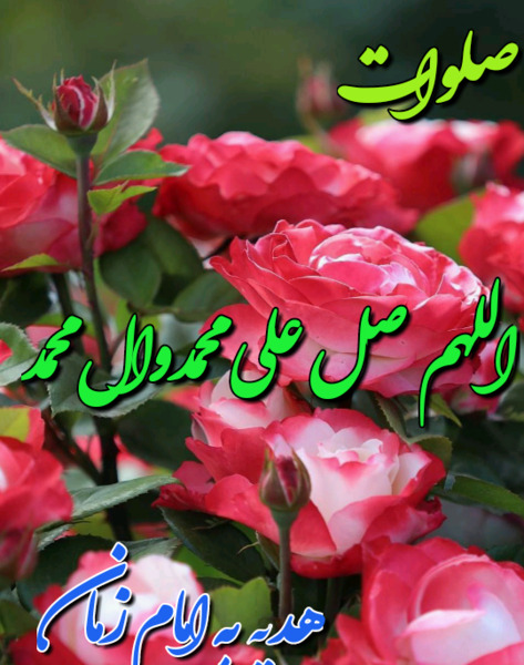 عکس پروفایل صلوات برای امام زمان
