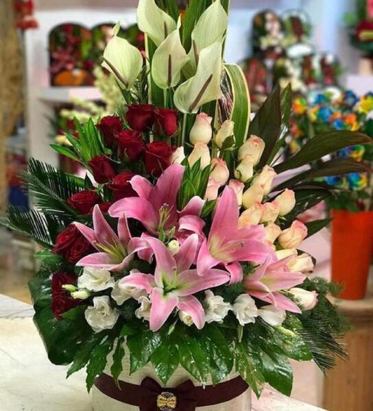 عکس گل خواستگاری جدید