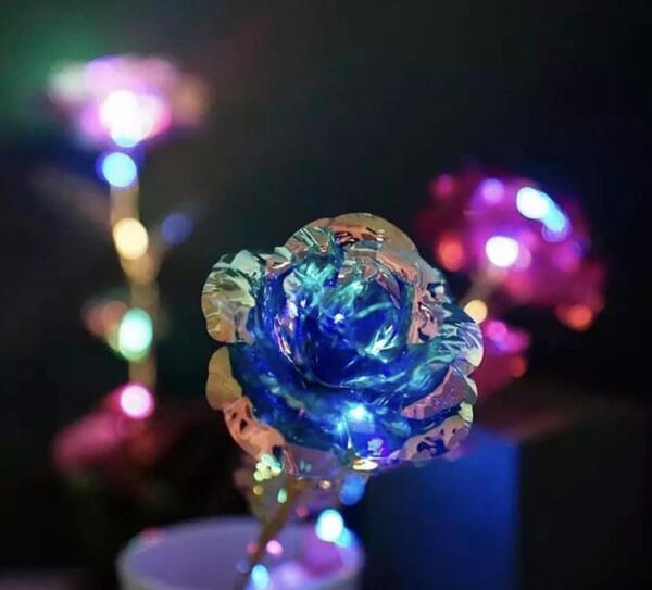 عکس گل هفت رنگ واقعی