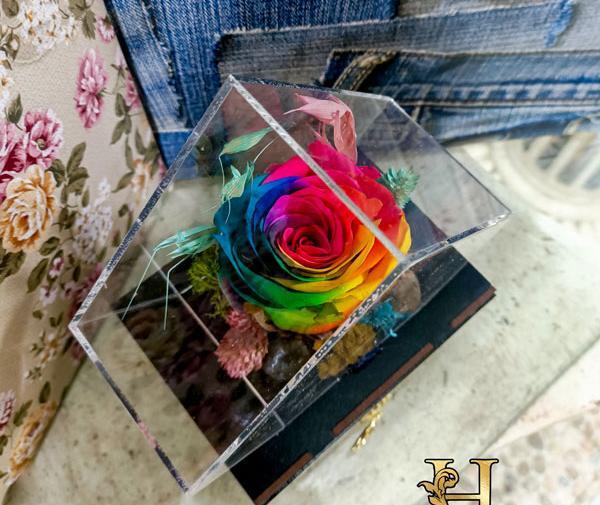 عکس گل هفت رنگ واقعی