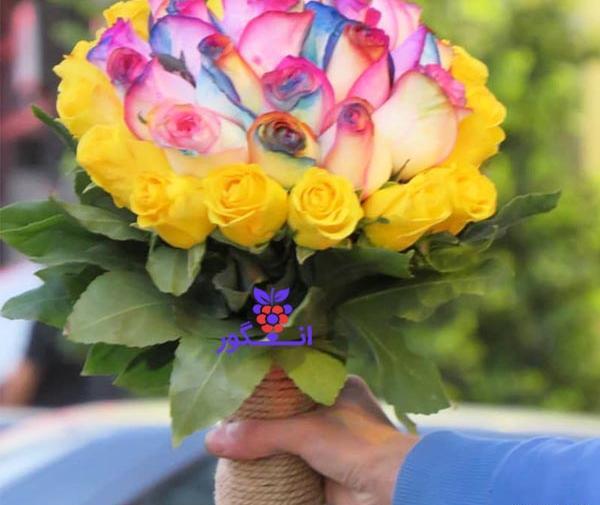 عکس گل هفت رنگ واقعی