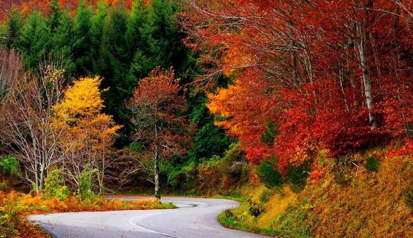 عکس فول اچ دی از طبیعت