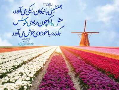 دانلود عکس گل میمون