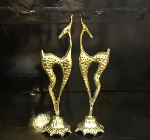 عکس بچه آهو خالدار